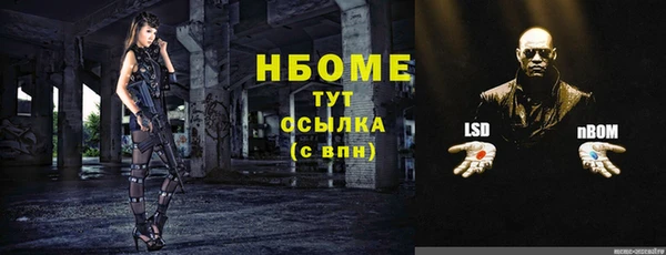 шишки Белокуриха