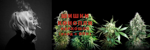 шишки Белокуриха