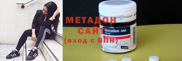 шишки Белокуриха