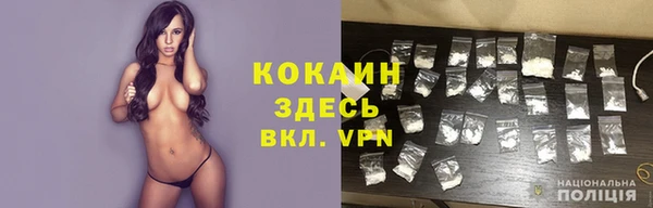 шишки Белокуриха