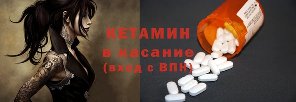 шишки Белокуриха