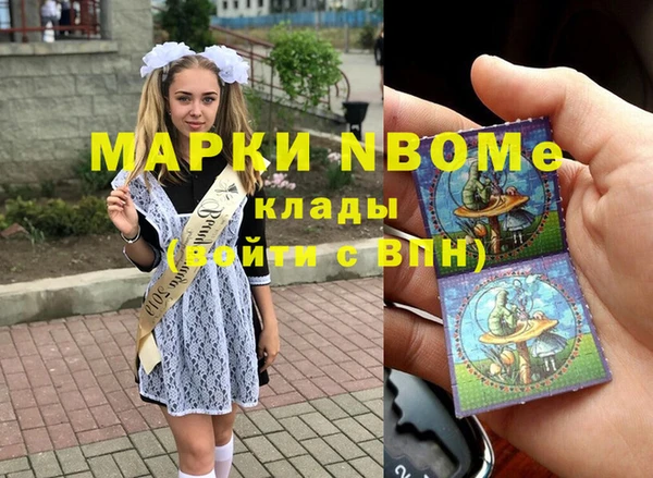 шишки Белокуриха