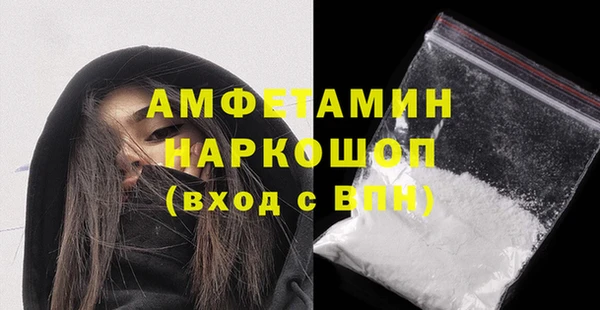 шишки Белокуриха